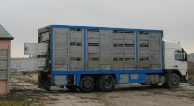 Transport