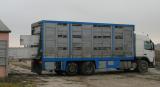 Transport